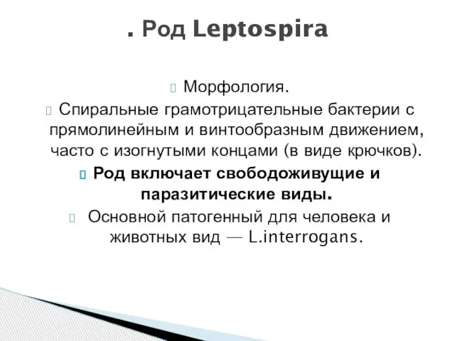 Морфология. Спиральные грамотрицательные бактерии с прямолинейным и винтообразным движением, часто с