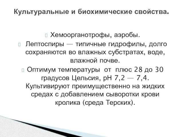 Хемоорганотрофы, аэробы. Лептоспиры — типичные гидрофилы, долго сохраняются во влажных субстратах,