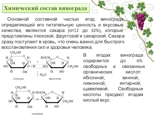 Химический состав винограда Основной составной частью ягод винограда, определяющей его питательную