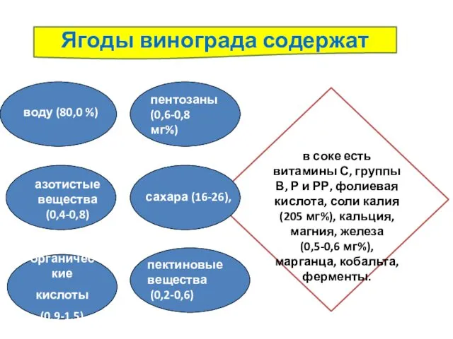 Ягоды винограда содержат воду (80,0 %) азотистые вещества (0,4-0,8) пектиновые вещества