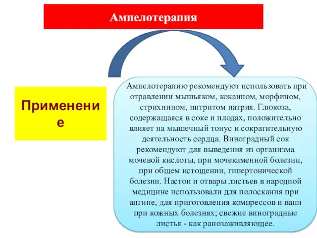 Применение Ампелотерапию рекомендуют использовать при отравлении мышьяком, кокаином, морфином, стрихнином, нитритом