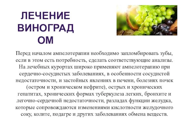 Перед началом ампелотерапии необходимо запломбировать зубы, если в этом есть потребность,