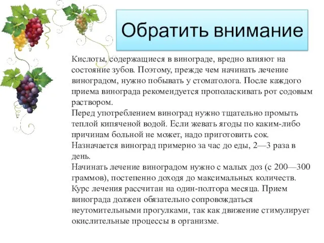 Обратить внимание Кислоты, содержащиеся в винограде, вредно влияют на состояние зубов.