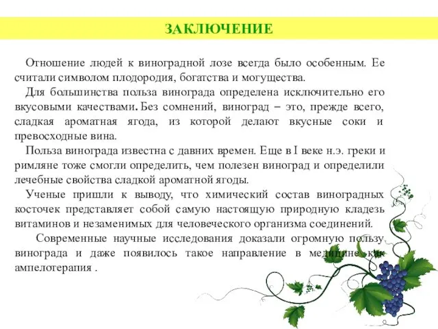 ЗАКЛЮЧЕНИЕ Отношение людей к виноградной лозе всегда было особенным. Ее считали