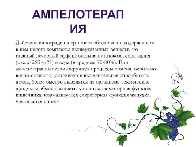 Действие винограда на организм обусловлено содержанием в нем целого комплекса вышеуказанных