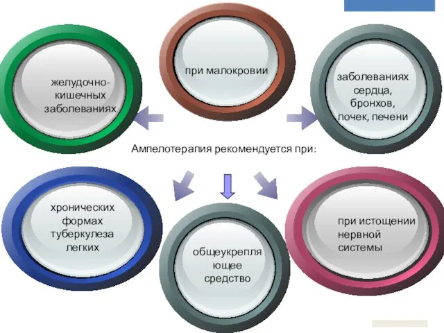 при малокровии заболеваниях сердца, бронхов, почек, печени желудочно-кишечных заболеваниях при истощении