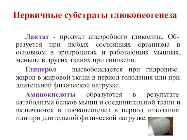 Первичные субстраты глюконеогенеза Лактат - продукт анаэробного гликолиза. Об-разуется при любых