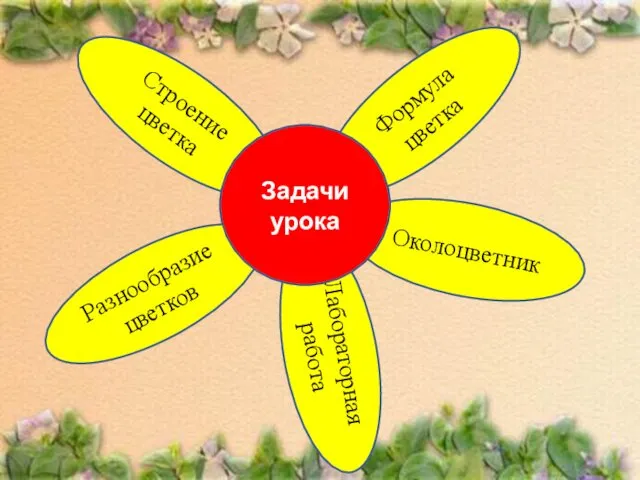 Лабораторная работа Формула цветка Разнообразие цветков