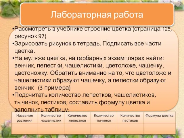 Ход работы: Рассмотреть в учебнике строение цветка (страница 125, рисунок 97)