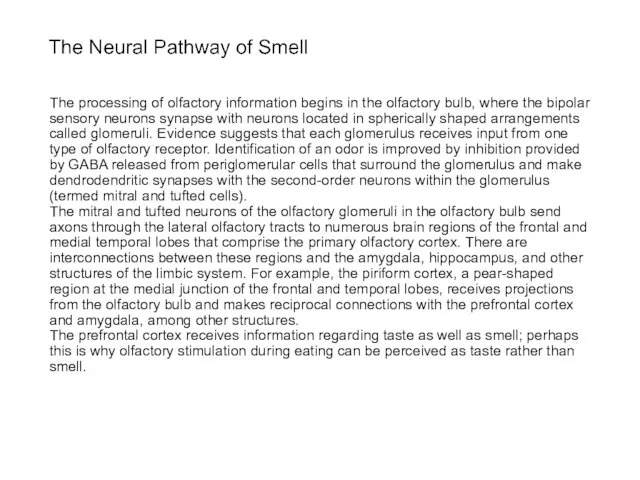 The processing of olfactory information begins in the olfactory bulb, where