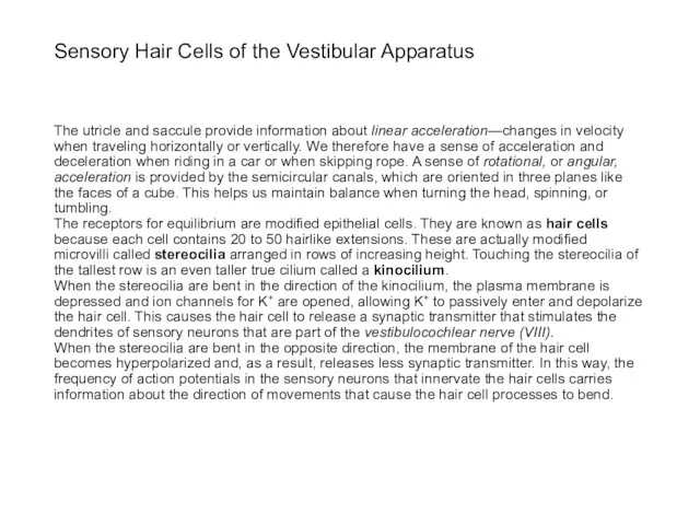 Sensory Hair Cells of the Vestibular Apparatus The utricle and saccule