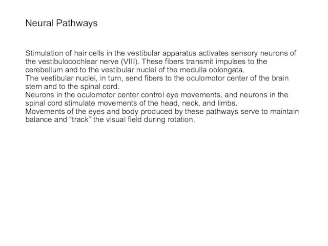 Neural Pathways Stimulation of hair cells in the vestibular apparatus activates