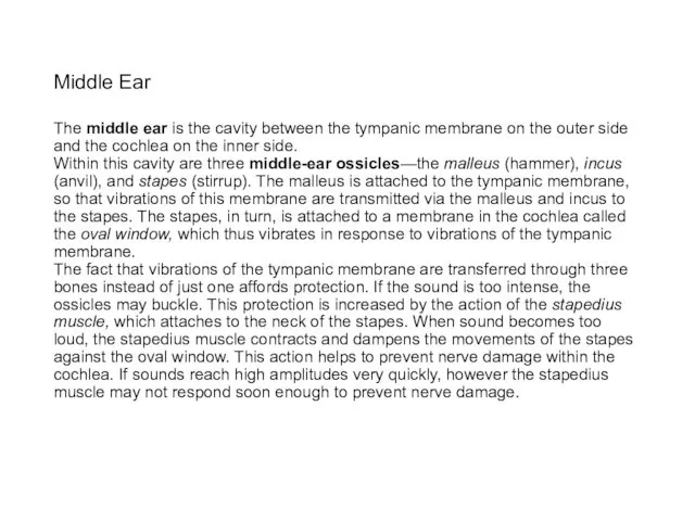 Middle Ear The middle ear is the cavity between the tympanic