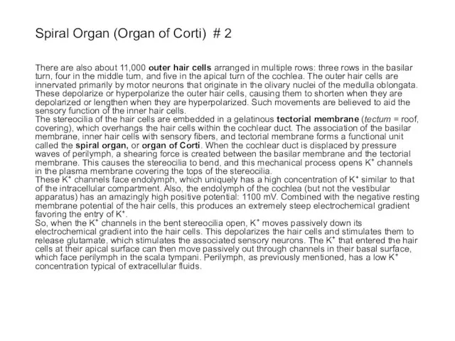 Spiral Organ (Organ of Corti) # 2 There are also about