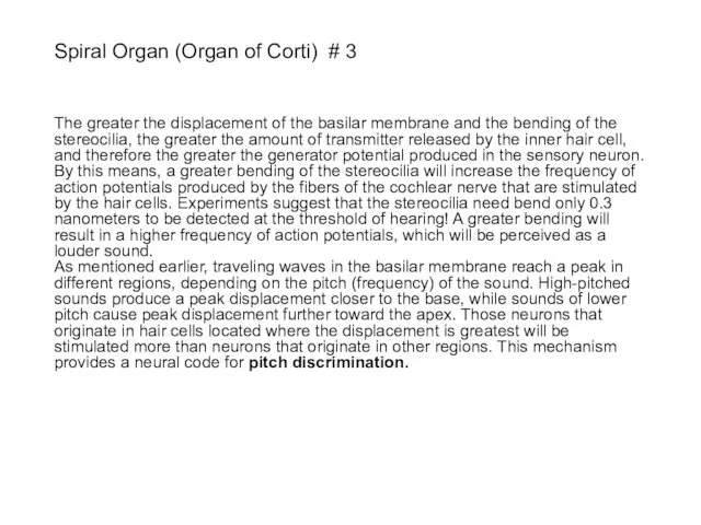Spiral Organ (Organ of Corti) # 3 The greater the displacement