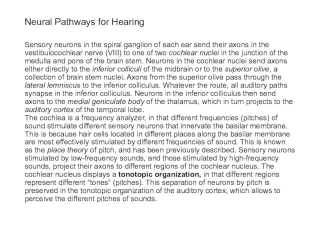 Neural Pathways for Hearing Sensory neurons in the spiral ganglion of