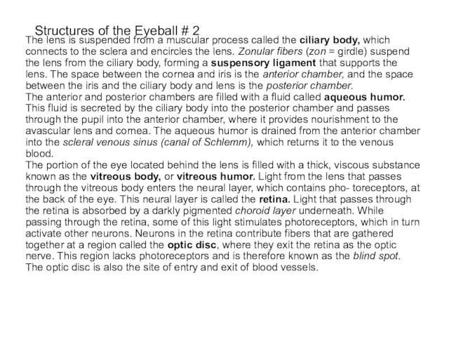 Structures of the Eyeball # 2 The lens is suspended from