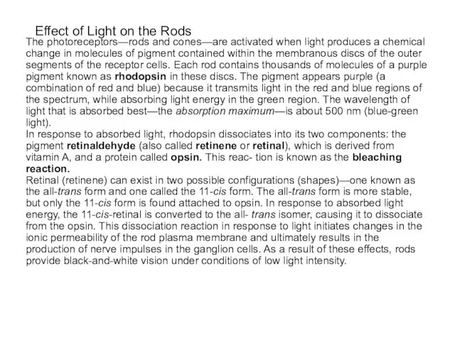 Effect of Light on the Rods The photoreceptors—rods and cones—are activated