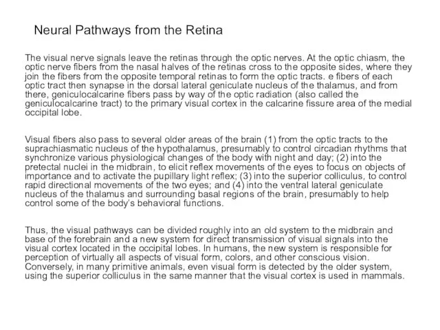 Neural Pathways from the Retina The visual nerve signals leave the