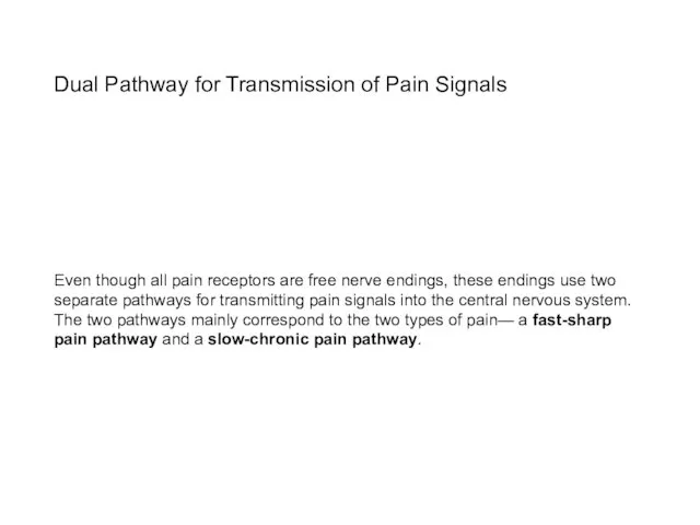 Dual Pathway for Transmission of Pain Signals Even though all pain