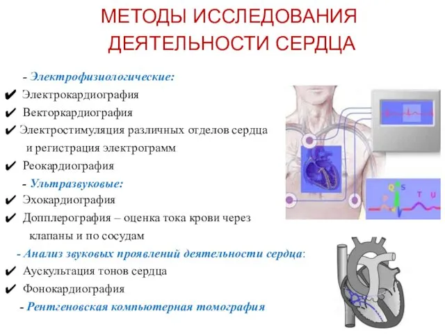 МЕТОДЫ ИССЛЕДОВАНИЯ ДЕЯТЕЛЬНОСТИ СЕРДЦА - Электрофизиологические: Электрокардиография Векторкардиография Электростимуляция различных отделов