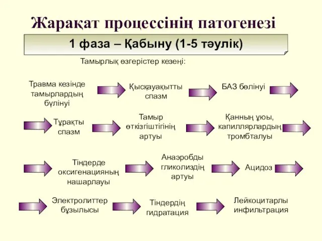 Жарақат процессінің патогенезі 1 фаза – Қабыну (1-5 тәулік) Тіндерде оксигенацияның