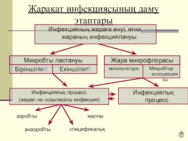 Жарақат инфекциясының даму этаптары Инфекцияның жараға енуі, яғни,жараның инфекциялануы Микробты ластануы