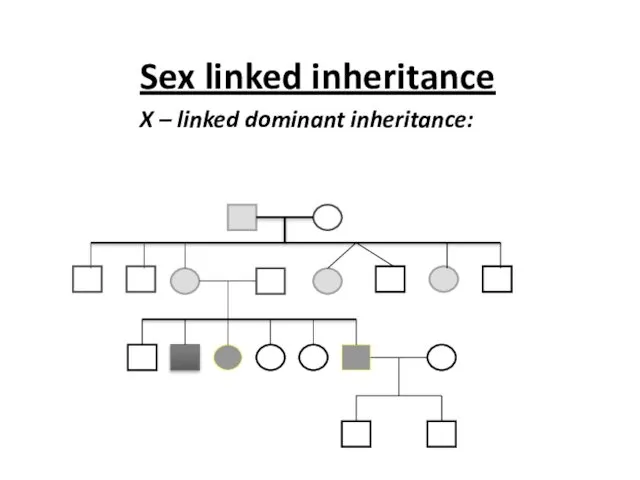 Sex linked inheritance X – linked dominant inheritance: