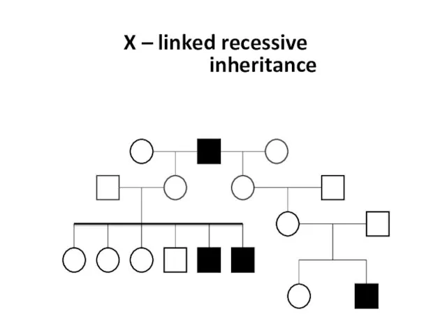 X – linked recessive inheritance