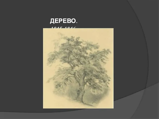 ДЕРЕВО. 1845-1846.