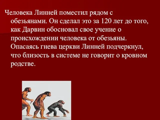 Человека Линней поместил рядом с обезьянами. Он сделал это за 120