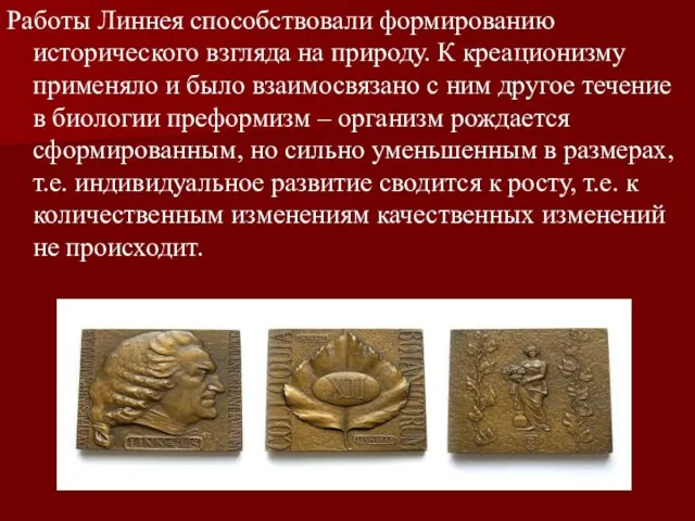 Работы Линнея способствовали формированию исторического взгляда на природу. К креационизму применяло