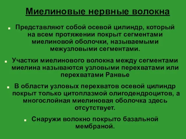 Миелиновые нервные волокна Представляют собой осевой цилиндр, который на всем протяжении