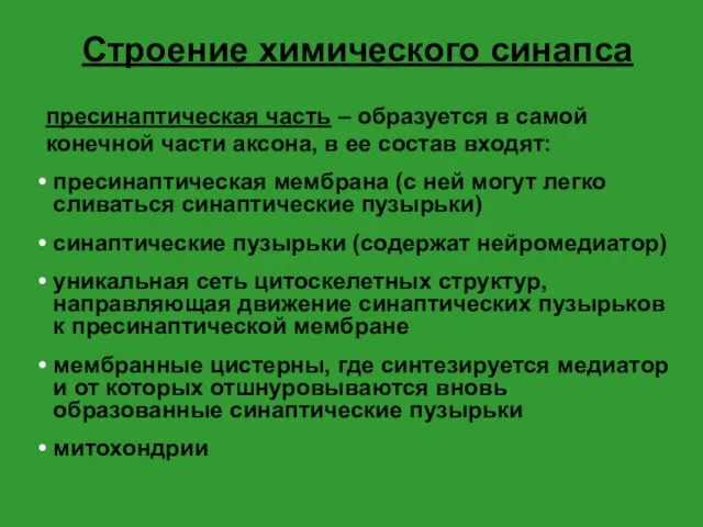 Строение химического синапса пресинаптическая часть – образуется в самой конечной части