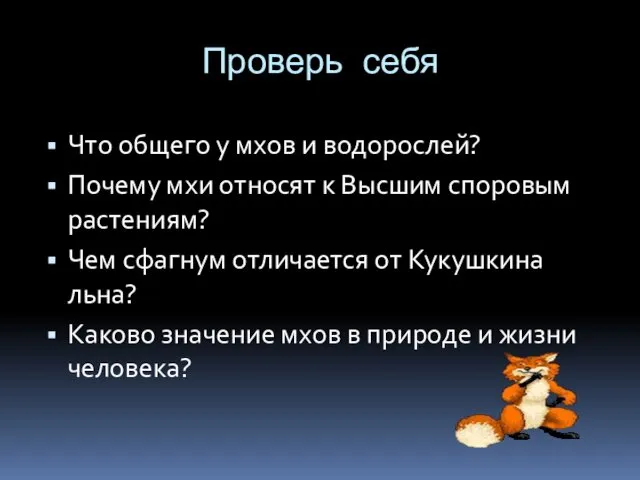 Проверь себя Что общего у мхов и водорослей? Почему мхи относят