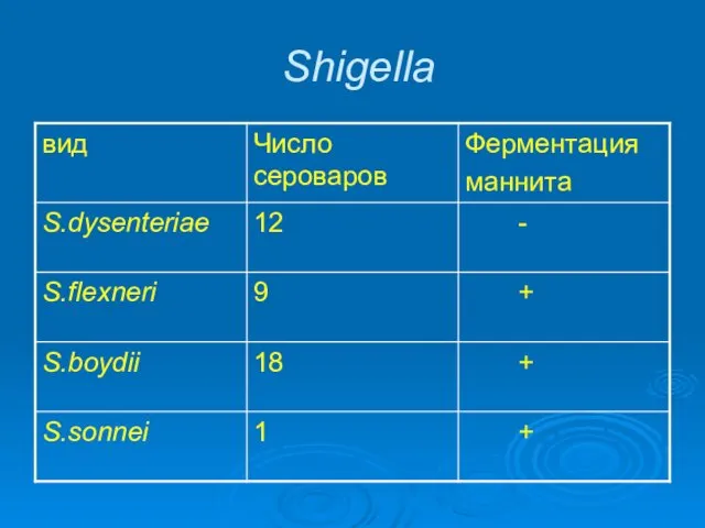 Shigella