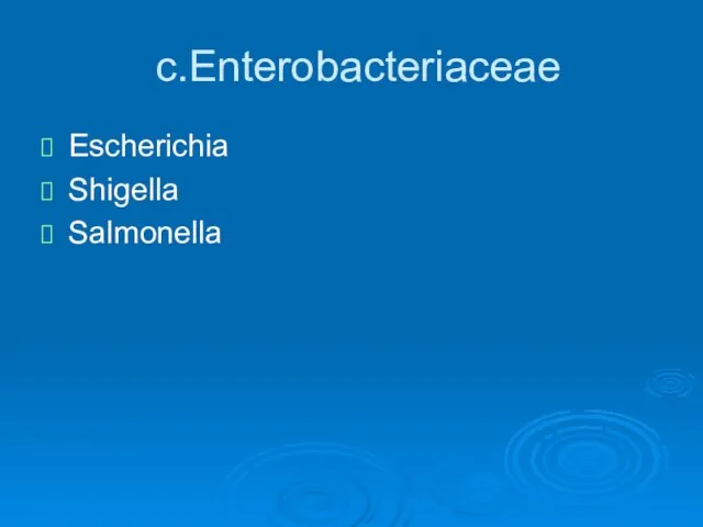 c.Enterobacteriaceae Escherichia Shigella Salmonella