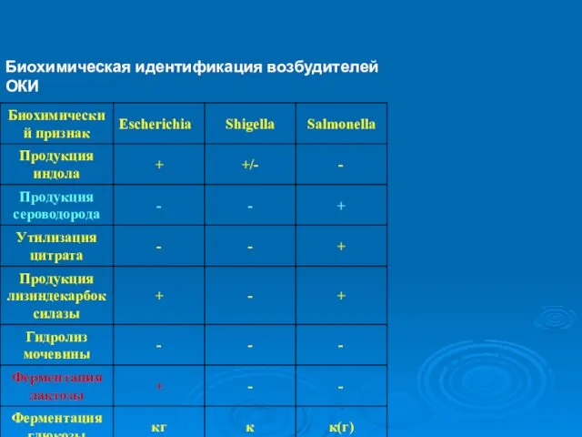 Биохимическая идентификация возбудителей ОКИ