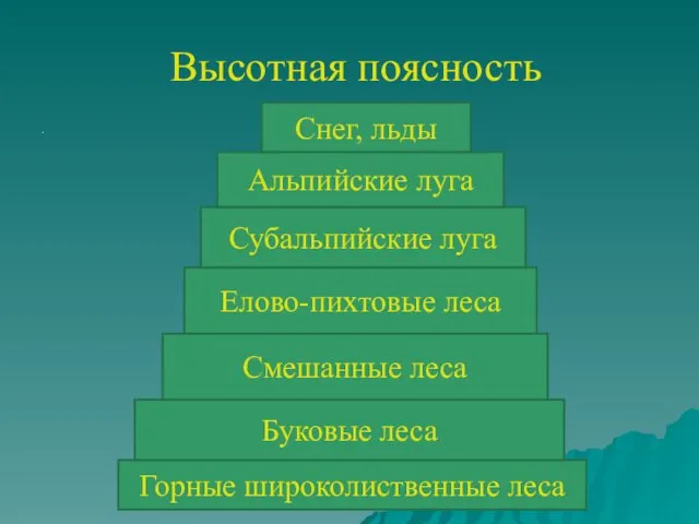 Высотная поясность Горные широколиственные леса Буковые леса Смешанные леса Елово-пихтовые леса