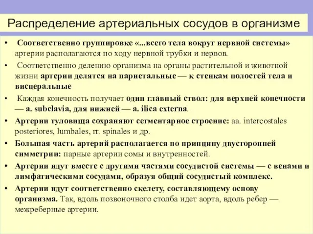 Распределение артериальных сосудов в организме Соответственно группировке «...всего тела вокруг нервной