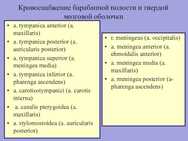 Кровоснабжение барабанной полости и твердой мозговой оболочки a. tympanica anterior (a.