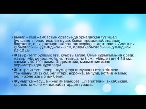 Қынап – кіші жамбастың ортасында орналасқан түтікшелі, бұлшықетті-эластикалық мүше. Қынап қыздық