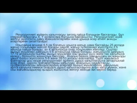 Репродуктивті жүйенің қалыптасуы зигота пайда болуынан басталады. Бұл сперматозоидтағы X, Y