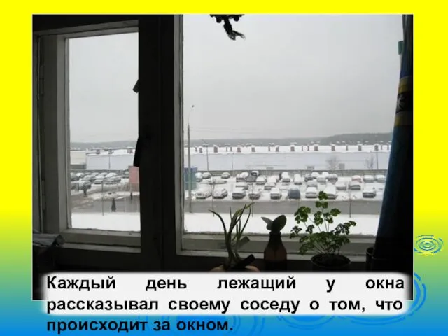 Каждый день лежащий у окна рассказывал своему соседу о том, что происходит за окном.