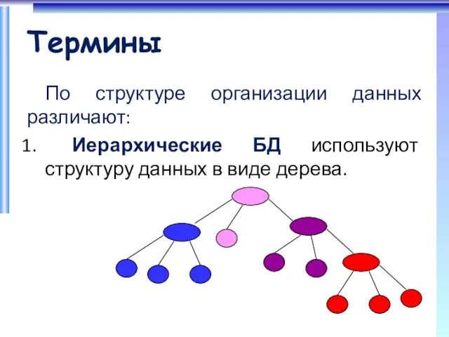 Термины По структуре организации данных различают: Иерархические БД используют структуру данных в виде дерева.