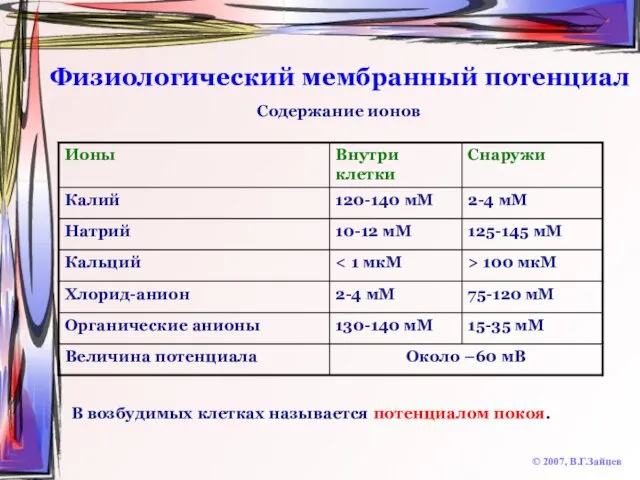 Физиологический мембранный потенциал © 2007, В.Г.Зайцев В возбудимых клетках называется потенциалом покоя. Содержание ионов