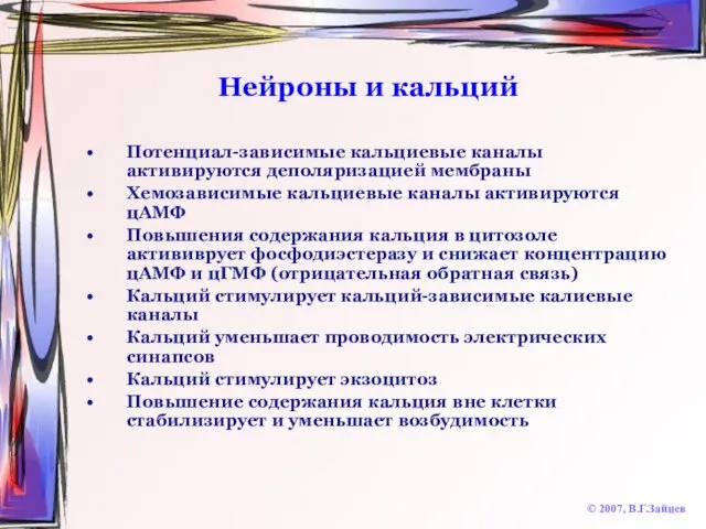 Нейроны и кальций © 2007, В.Г.Зайцев Потенциал-зависимые кальциевые каналы активируются деполяризацией