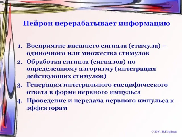 Нейрон перерабатывает информацию Восприятие внешнего сигнала (стимула) – одиночного или множества