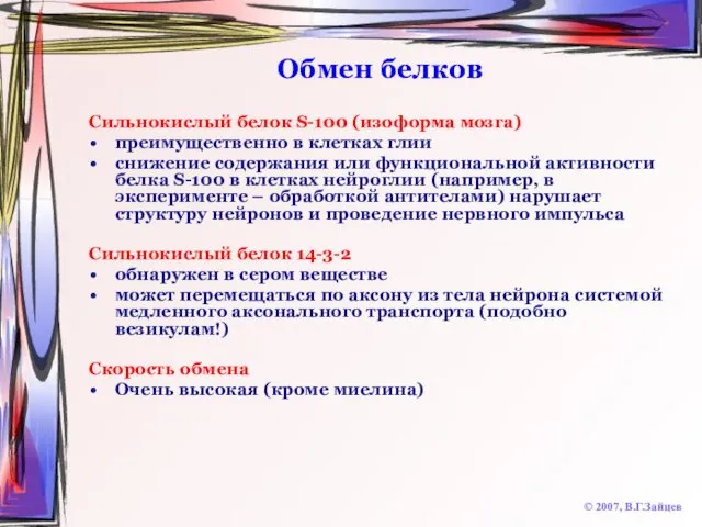 Обмен белков © 2007, В.Г.Зайцев Сильнокислый белок S-100 (изоформа мозга) преимущественно