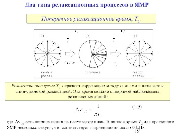 Два типа релаксационных процессов в ЯМР где Δν1/2 есть ширина линии